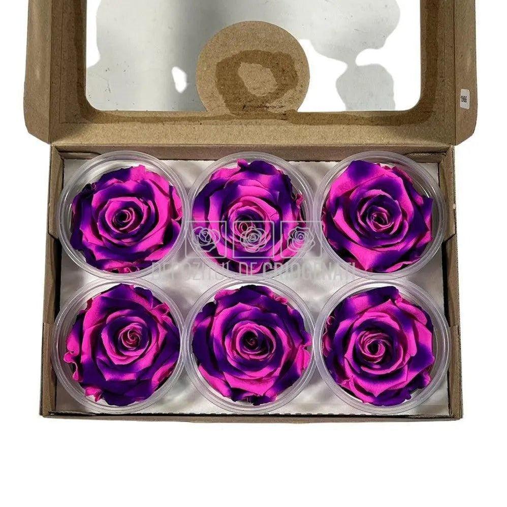 Trandafiri Criogenati XL BIC-66 (Ø6-6,5cm, set 6 buc /cutie) - DepozituldeCriogenati.ro
