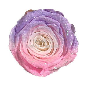 Trandafiri Criogenati XL BIC-72 (Ø6-6,5cm, set 6 buc /cutie) - DepozituldeCriogenati.ro