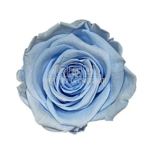 Trandafiri Criogenati XL BLU-89 (Ø6-6,5cm, set 6 buc /cutie) - DepozituldeCriogenati.ro