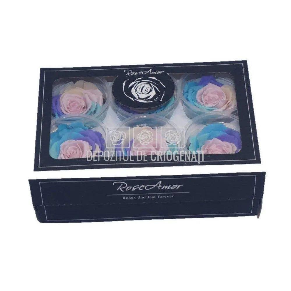 Trandafiri Criogenati XL CANDY RAINBOW PIN-04 Ø6-6,5cm, set 6 buc - DepozituldeCriogenati.ro