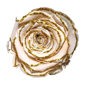 Trandafiri Criogenati XL GLITTER GOLD CHA-01 (Ø6-6,5cm set 6 buc) - DepozituldeCriogenati.ro