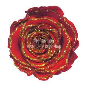 Trandafiri Criogenati XL GLITTER GOLD RED-02 (Ø6-6,5cm, set 6buc) - DepozituldeCriogenati.ro
