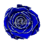 Trandafiri Criogenati XL GLITTER SILVER BLU-03 (Ø6-6,5cm set 6 buc) - DepozituldeCriogenati.ro