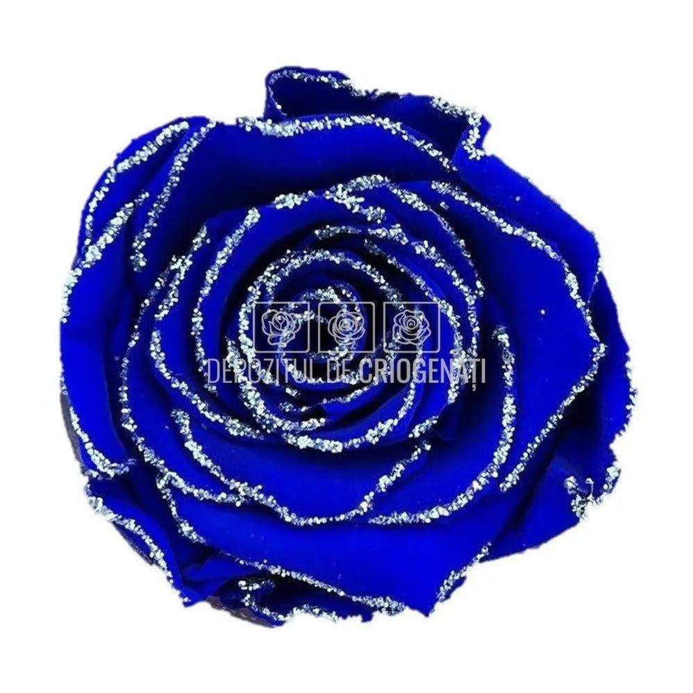 Trandafiri Criogenati XL GLITTER SILVER BLU-03 (Ø6-6,5cm set 6 buc) - DepozituldeCriogenati.ro