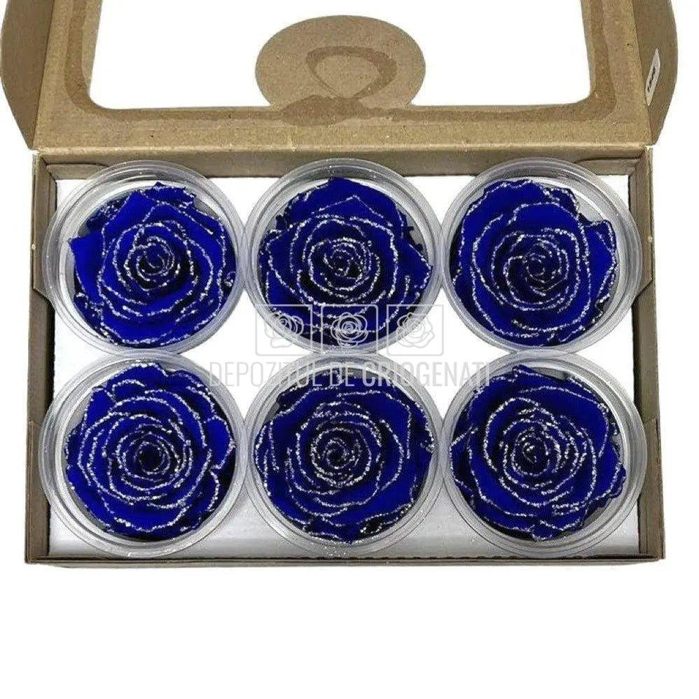 Trandafiri Criogenati XL GLITTER SILVER BLU-03 (Ø6-6,5cm set 6 buc) - DepozituldeCriogenati.ro