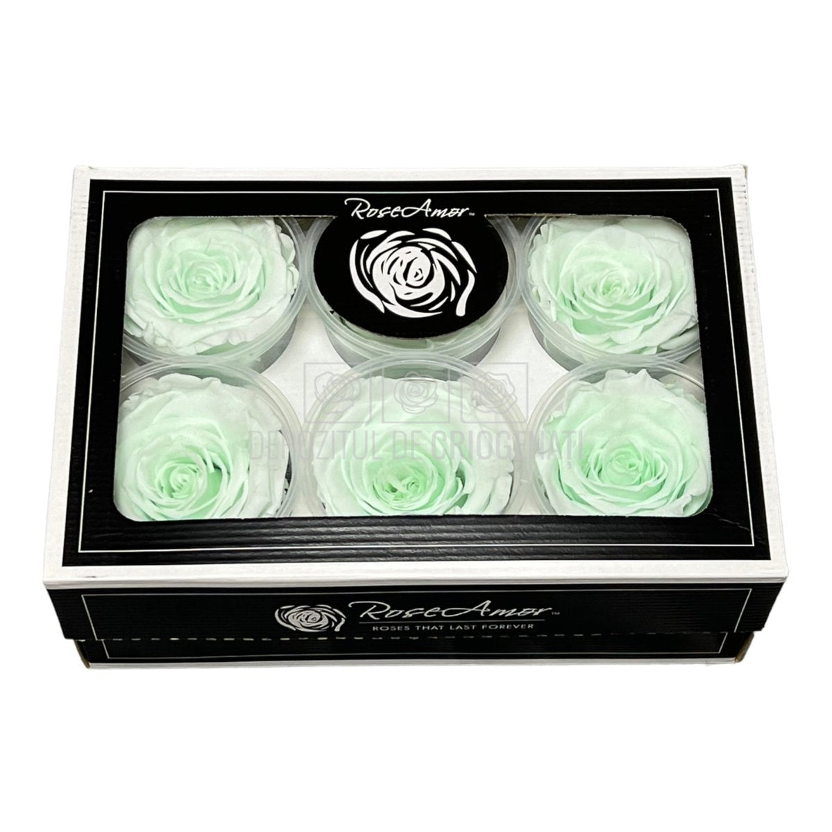 Trandafiri Criogenati XL GRE-89 (Ø6-6,5cm, set 6 buc /cutie) - DepozituldeCriogenati.ro