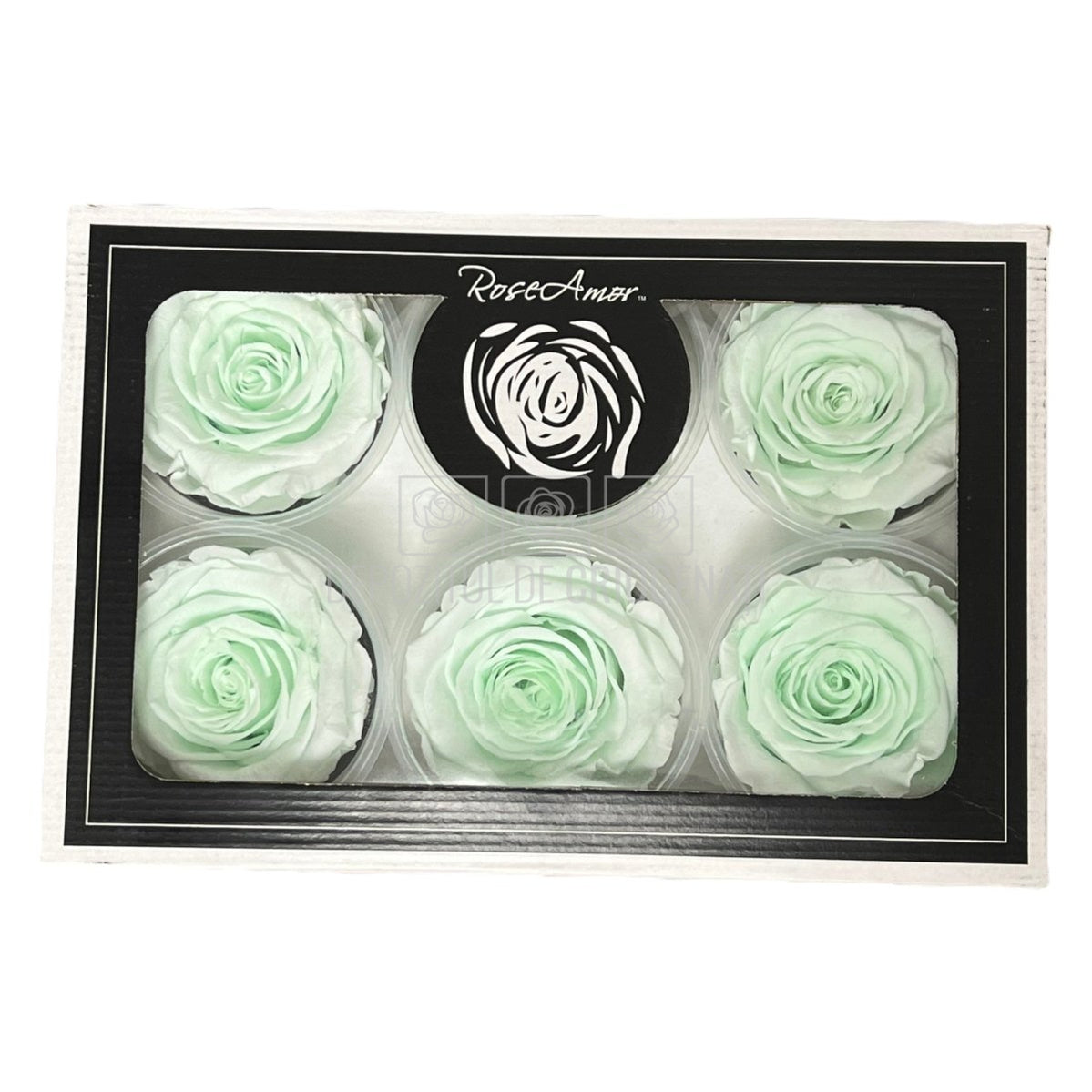 Trandafiri Criogenati XL GRE-89 (Ø6-6,5cm, set 6 buc /cutie) - DepozituldeCriogenati.ro