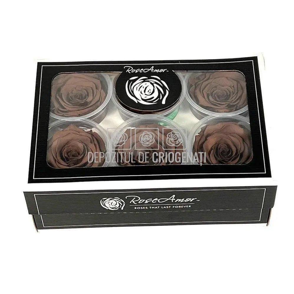 Trandafiri Criogenati XL GRP-02 (Ø6-6,5cm, set 6 buc /cutie) - DepozituldeCriogenati.ro