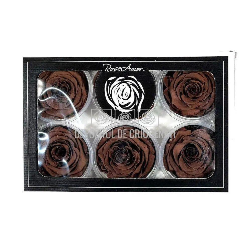 Trandafiri Criogenati XL GRP-02 (Ø6-6,5cm, set 6 buc /cutie) - DepozituldeCriogenati.ro