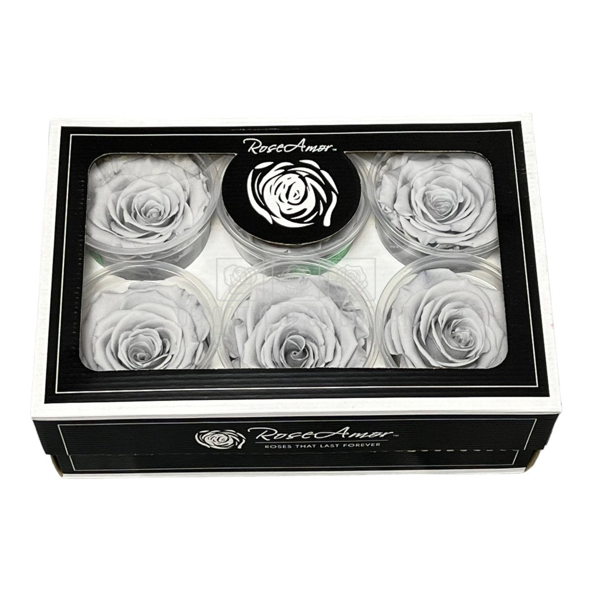 Trandafiri Criogenati XL GRY-02 (Ø6-6,5cm, set 6 buc /cutie) - DepozituldeCriogenati.ro