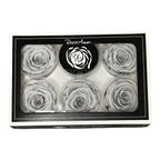 Trandafiri Criogenati XL GRY-02 (Ø6-6,5cm, set 6 buc /cutie) - DepozituldeCriogenati.ro