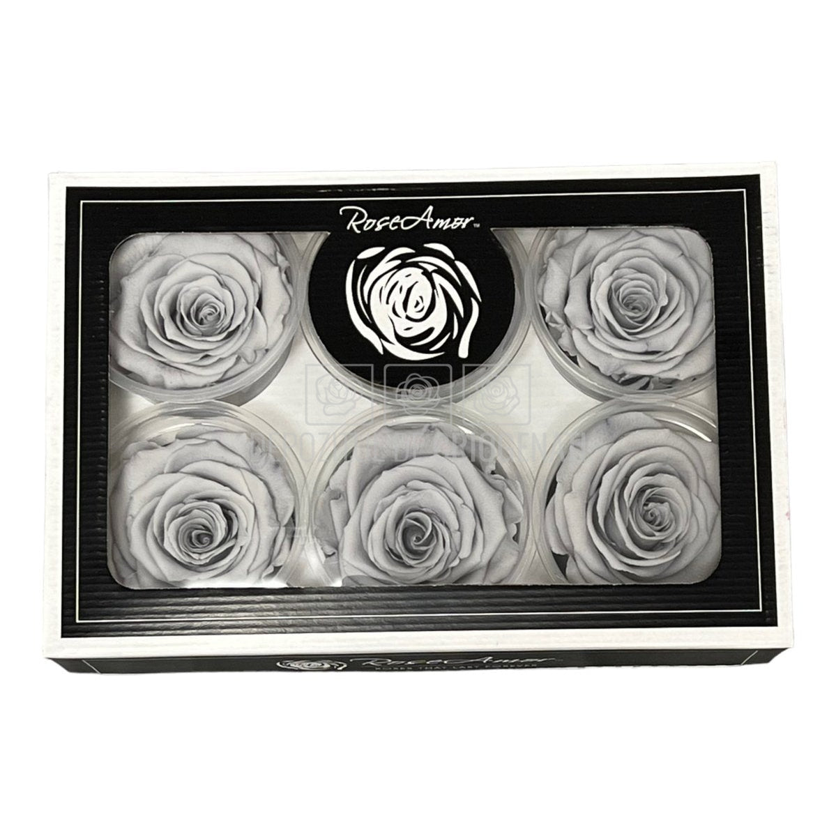 Trandafiri Criogenati XL GRY-02 (Ø6-6,5cm, set 6 buc /cutie) - DepozituldeCriogenati.ro