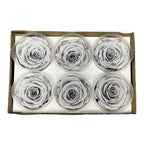 Trandafiri Criogenati XL GRY-02 (Ø6-6,5cm, set 6 buc /cutie) - DepozituldeCriogenati.ro