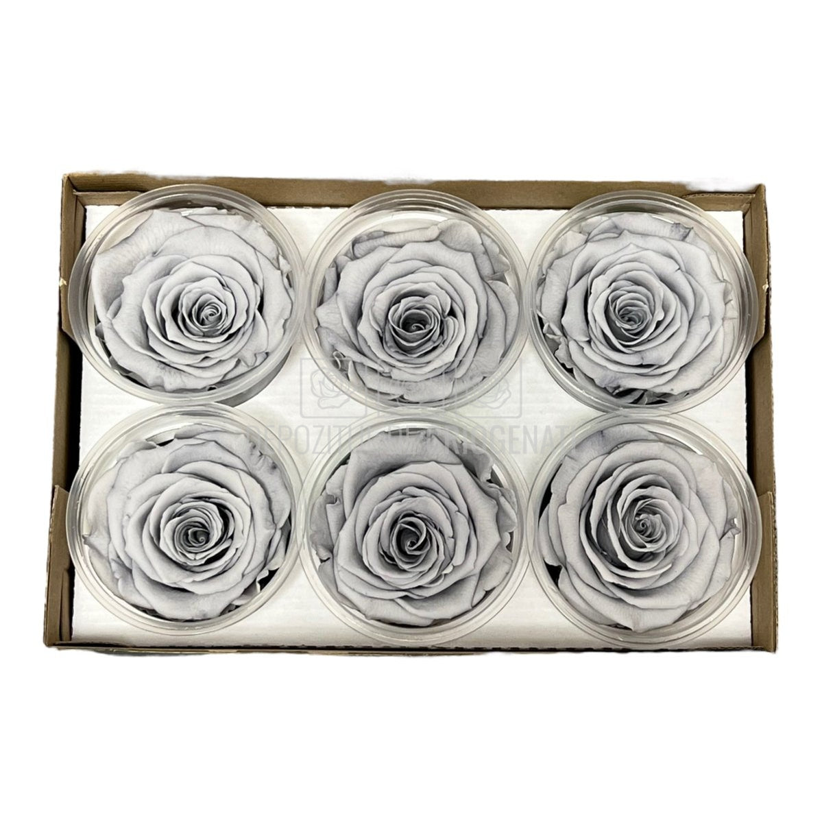 Trandafiri Criogenati XL GRY-02 (Ø6-6,5cm, set 6 buc /cutie) - DepozituldeCriogenati.ro
