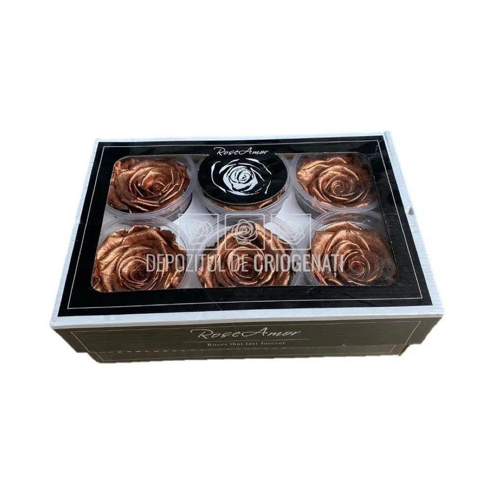 Trandafiri Criogenati XL METALLIC COOPPER (Ø6-6,5cm, set 6 buc) - DepozituldeCriogenati.ro