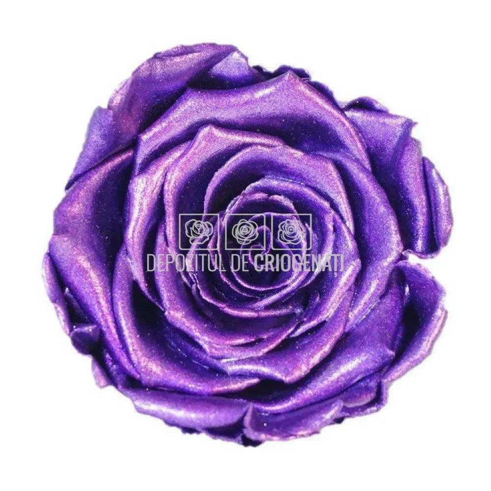 Trandafiri Criogenati XL METALLIC SILVER LAVENDER Ø6,5cm set 6buc - DepozituldeCriogenati.ro