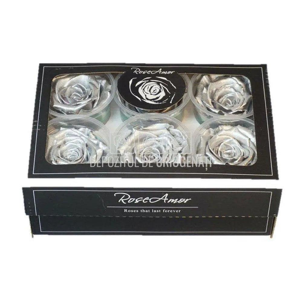Trandafiri Criogenati XL METALLIC SILVER (Ø6-6,5cm, set 6 buc) - DepozituldeCriogenati.ro