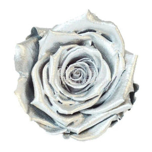 Trandafiri Criogenati XL METALLIC SILVER (Ø6-6,5cm, set 6 buc) - DepozituldeCriogenati.ro