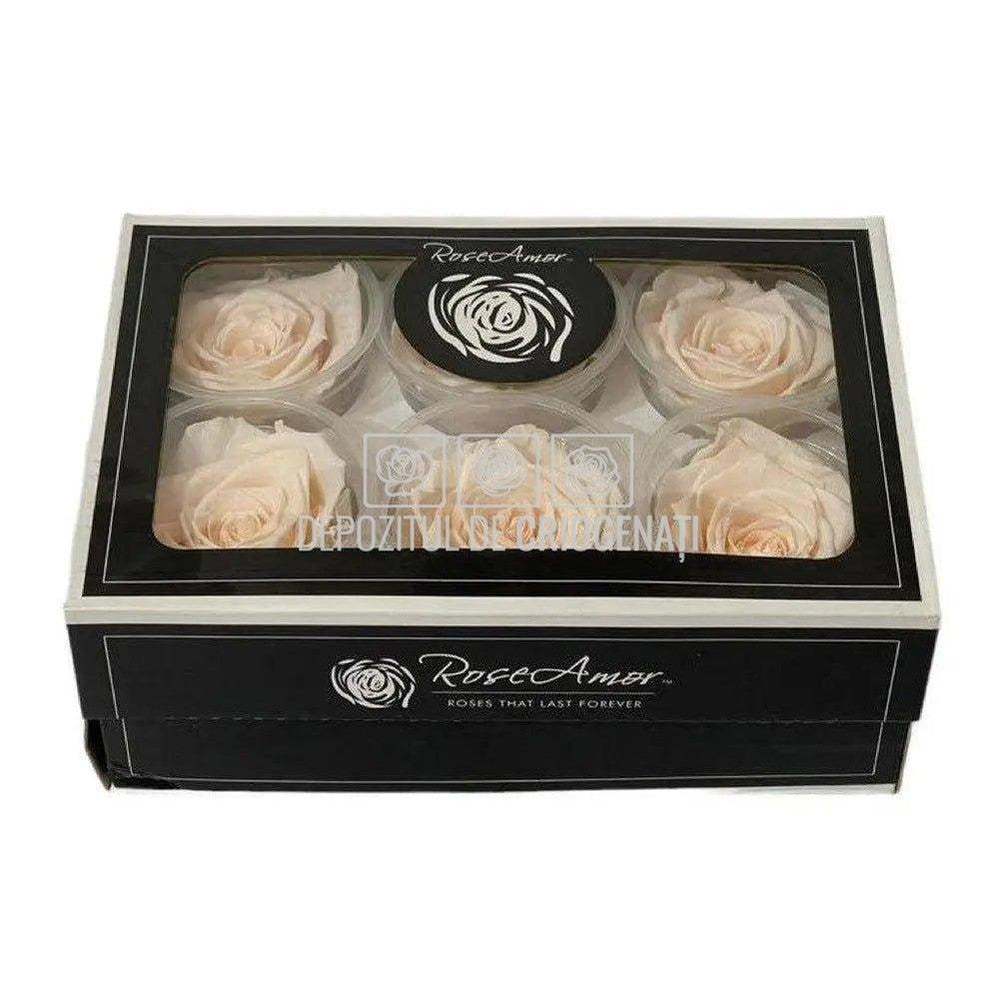 Trandafiri Criogenati XL PEA-89 (Ø6-6,5cm, set 6 buc /cutie) - DepozituldeCriogenati.ro