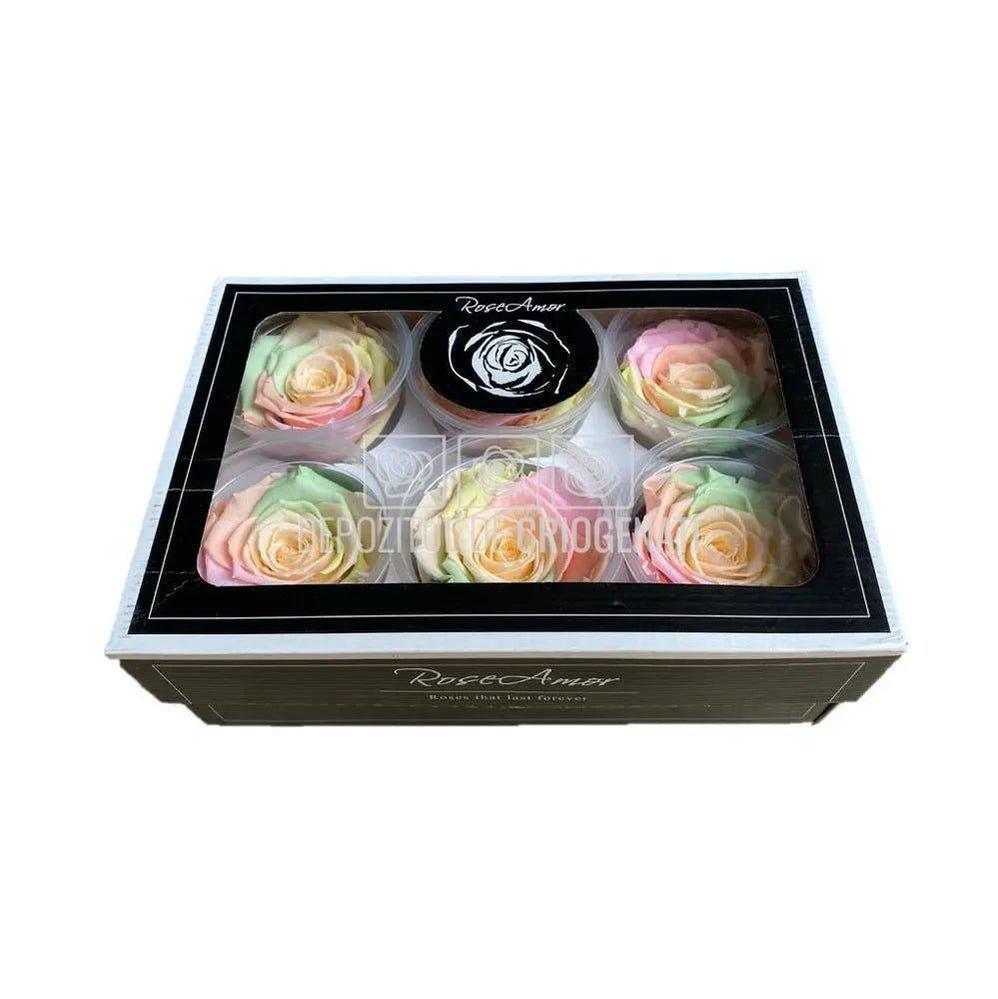 Trandafiri Criogenati XL RAINBOW CHA-99 (Ø6-6,5cm, set 6 buc) - DepozituldeCriogenati.ro