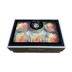 Trandafiri Criogenati XL RAINBOW PEA-99 (Ø6-6,5cm, set 6 buc) - DepozituldeCriogenati.ro