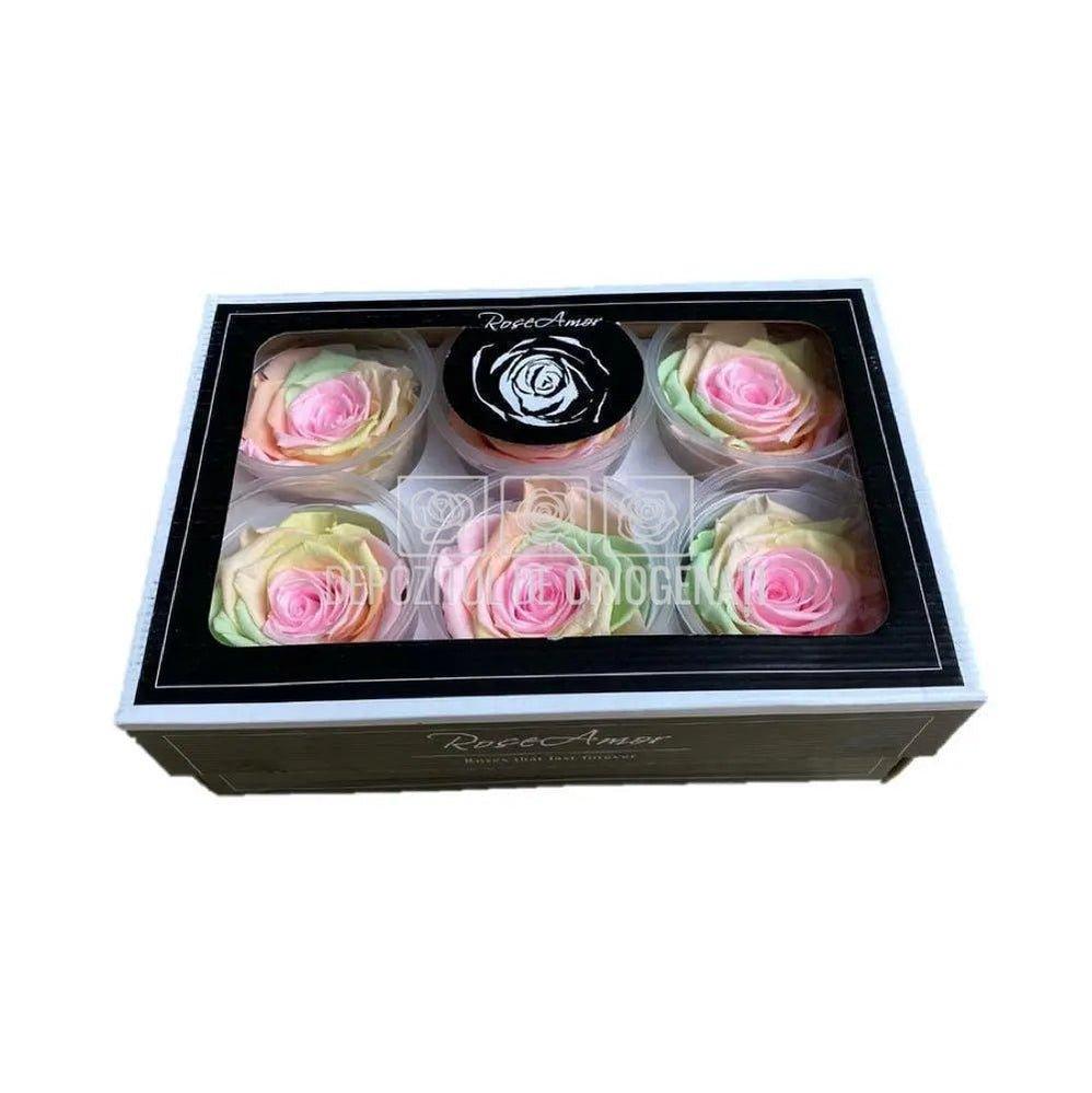Trandafiri Criogenati XL RAINBOW PIN-99 (Ø6-6,5cm, set 6 buc) - DepozituldeCriogenati.ro