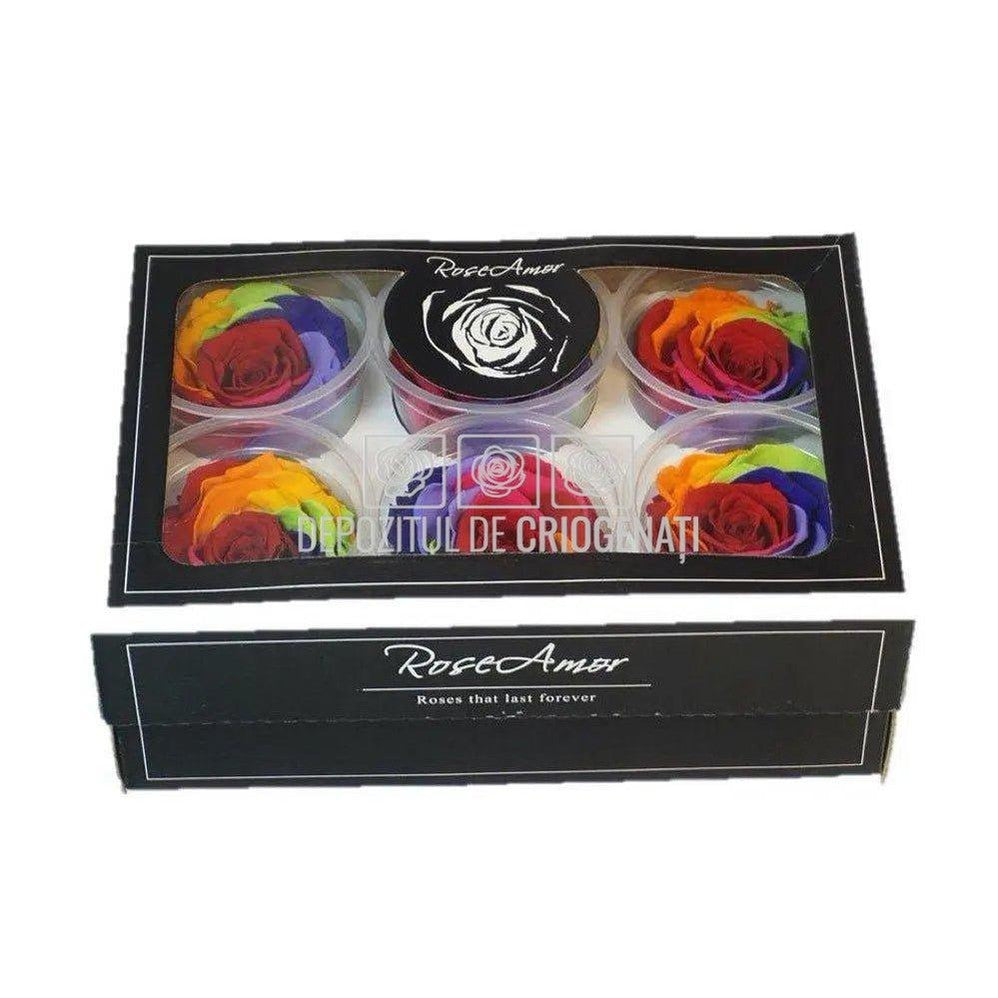 Trandafiri Criogenati XL RAINBOW RED-02 (Ø6-6,5cm, set 6 buc) - DepozituldeCriogenati.ro