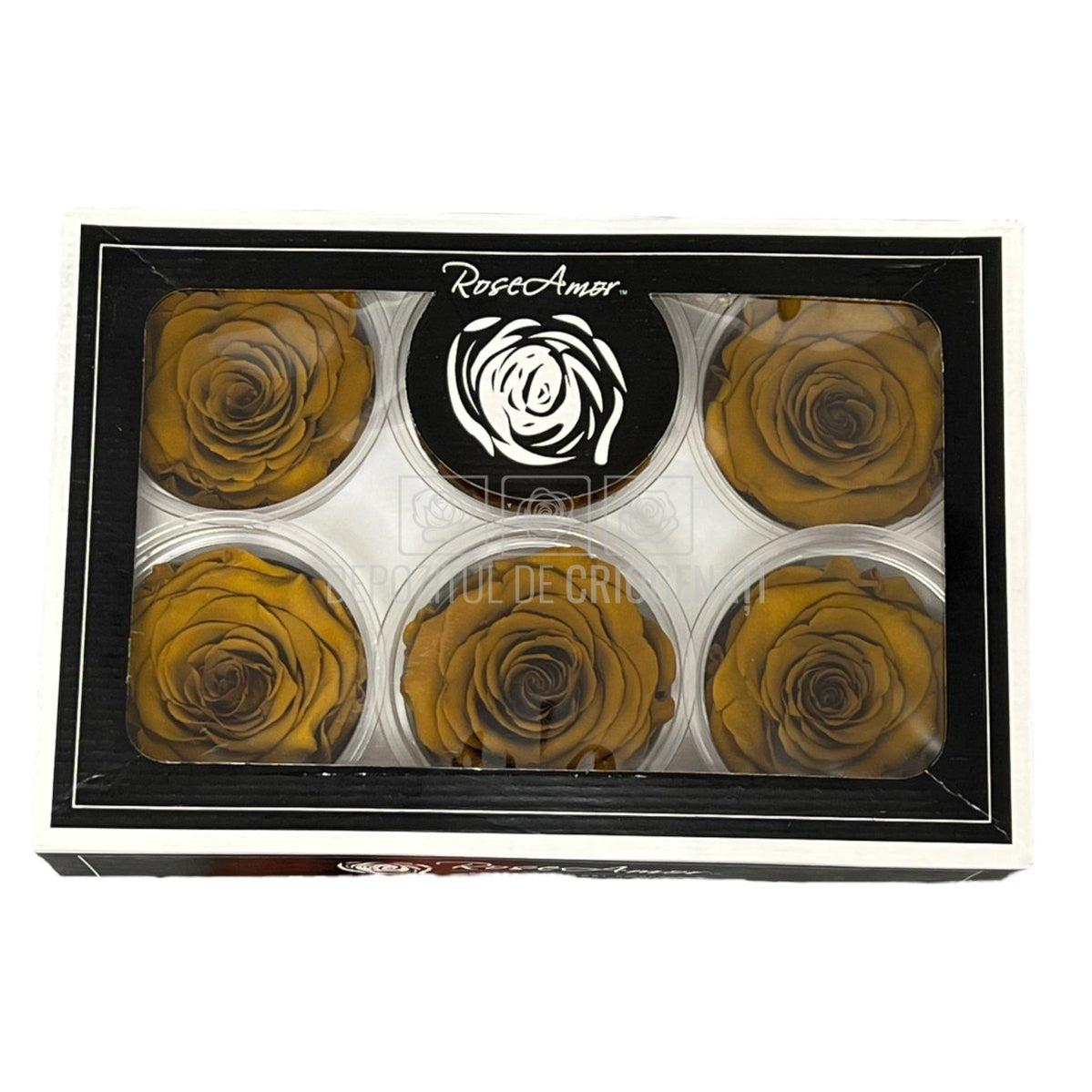 Trandafiri Criogenati XL TOFF-02 (Ø6-6,5cm, set 6 buc /cutie) - DepozituldeCriogenati.ro