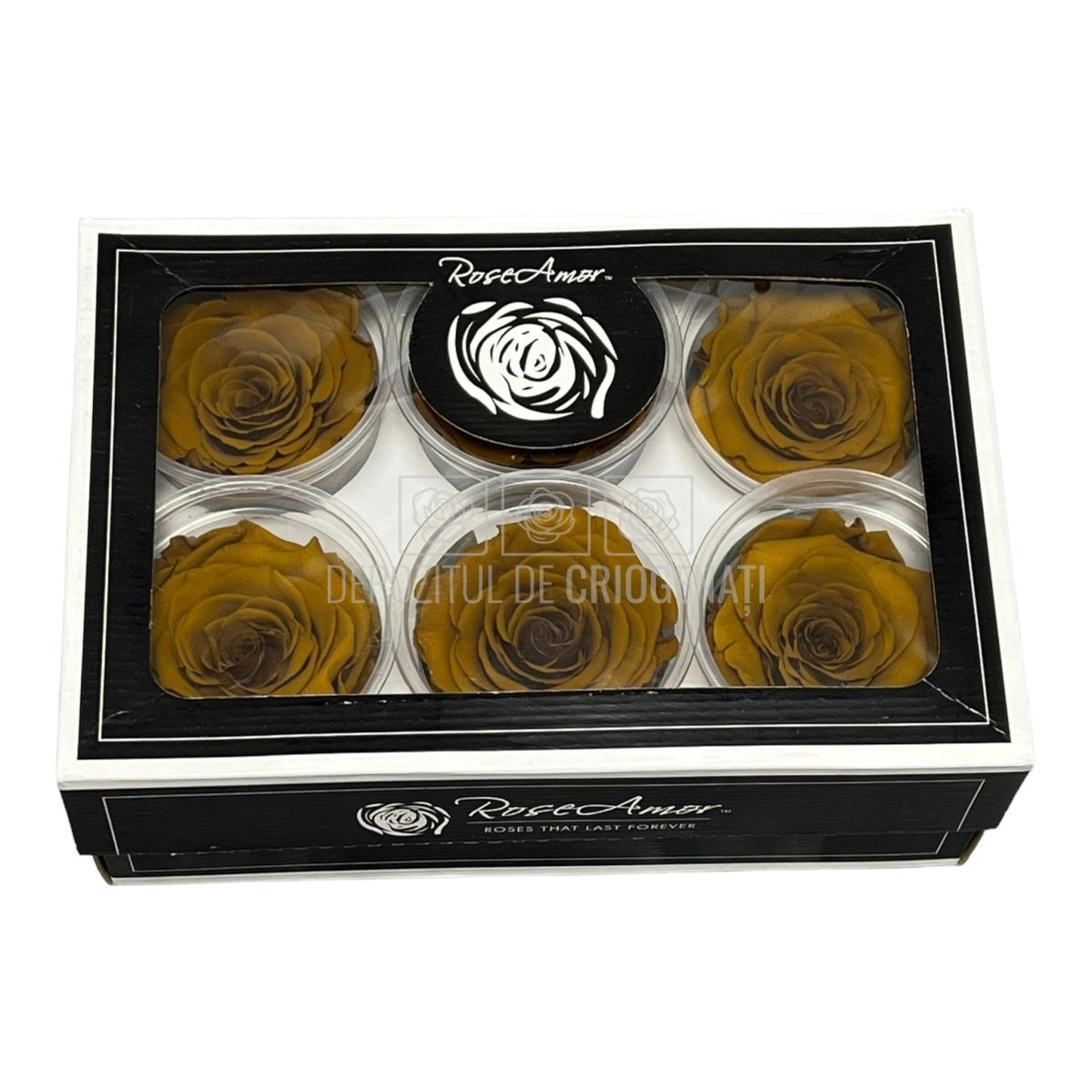 Trandafiri Criogenati XL TOFF-02 (Ø6-6,5cm, set 6 buc /cutie) - DepozituldeCriogenati.ro