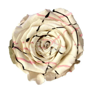 Trandafiri Criogenati XL WHI FESTIVAL (Ø6-6,5cm, set 6 buc/cutie) - DepozituldeCriogenati.ro