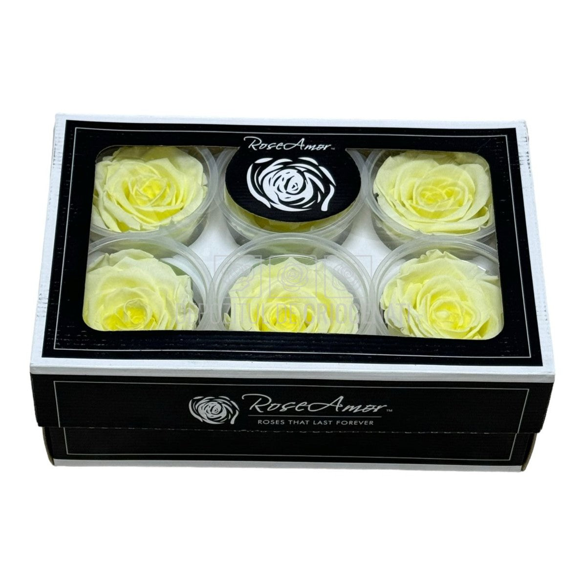 Trandafiri Criogenati XL YEL-89 (dia. 6-6,5cm, set 6 buc /cutie)