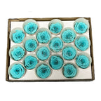 Trandafiri Criogenati XS BLU-02 (Ø3cm, set 18 buc /cutie) - DepozituldeCriogenati.ro