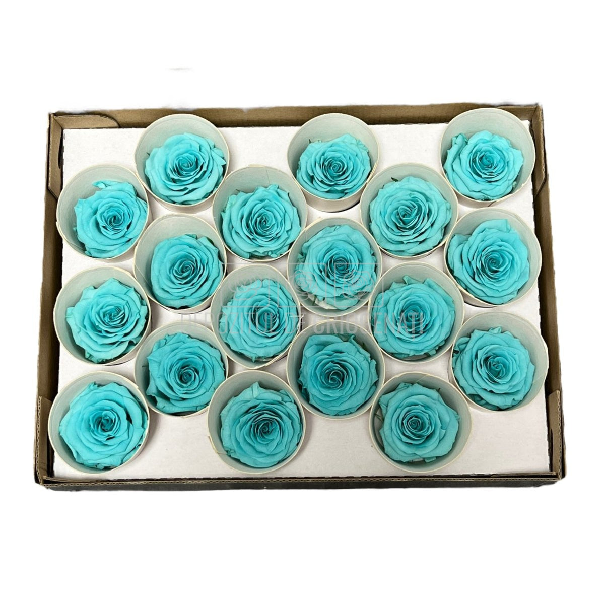 Trandafiri Criogenati XS BLU-02 (Ø3cm, set 18 buc /cutie) - DepozituldeCriogenati.ro