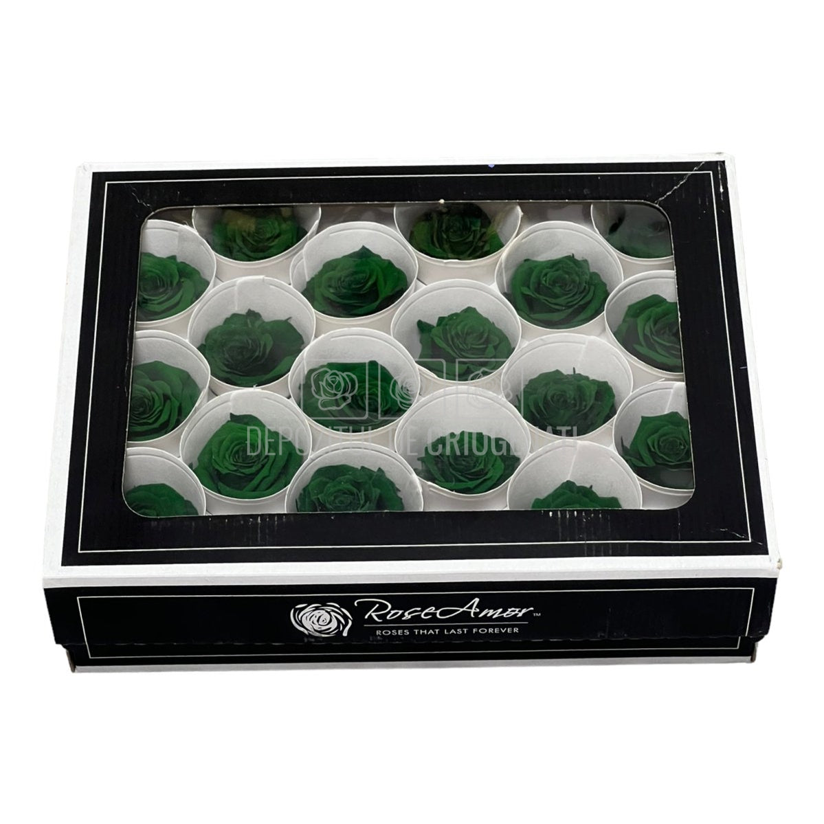 Trandafiri Criogenati XS GRE-02 (Ø3cm, set 18 buc /cutie) - DepozituldeCriogenati.ro