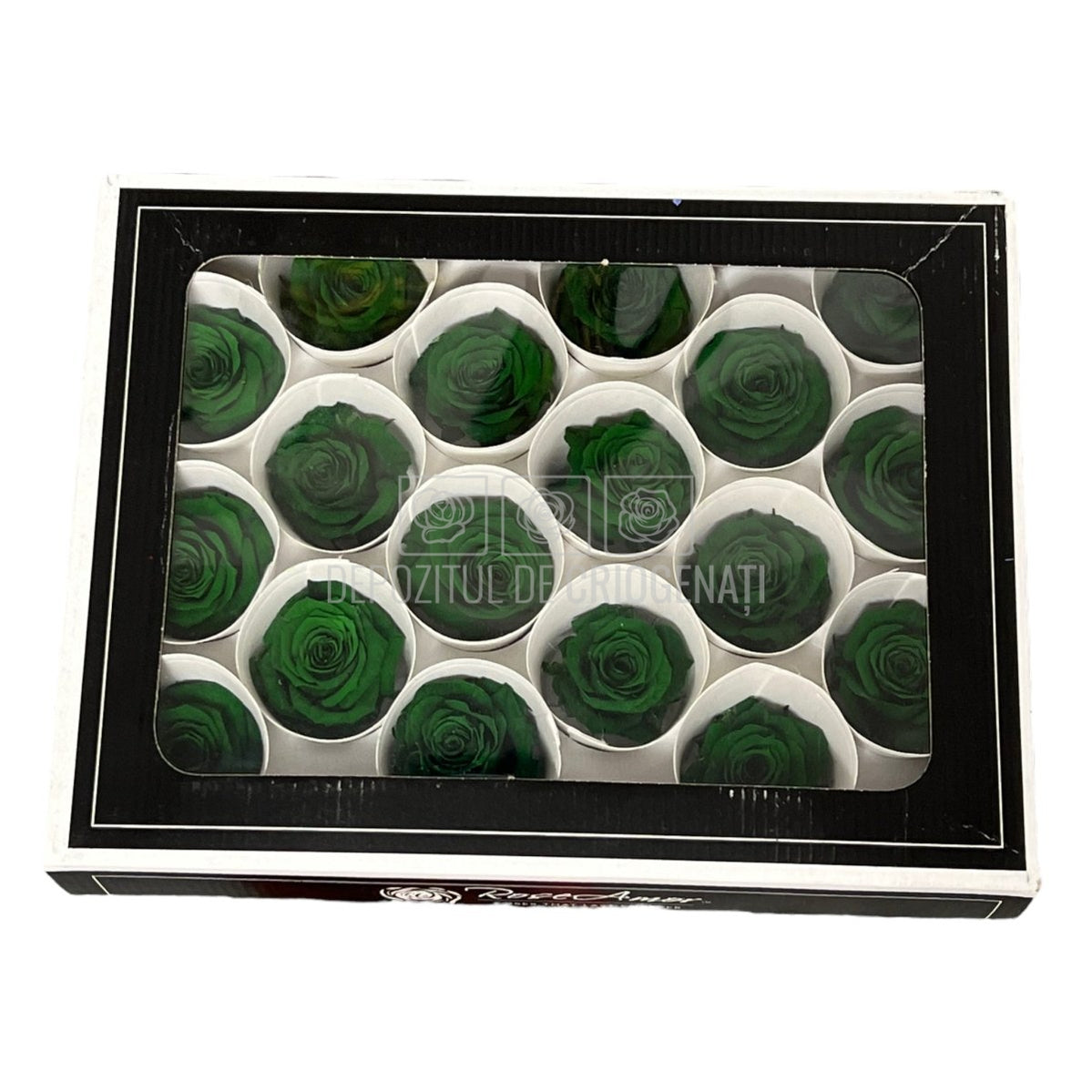 Trandafiri Criogenati XS GRE-02 (Ø3cm, set 18 buc /cutie) - DepozituldeCriogenati.ro