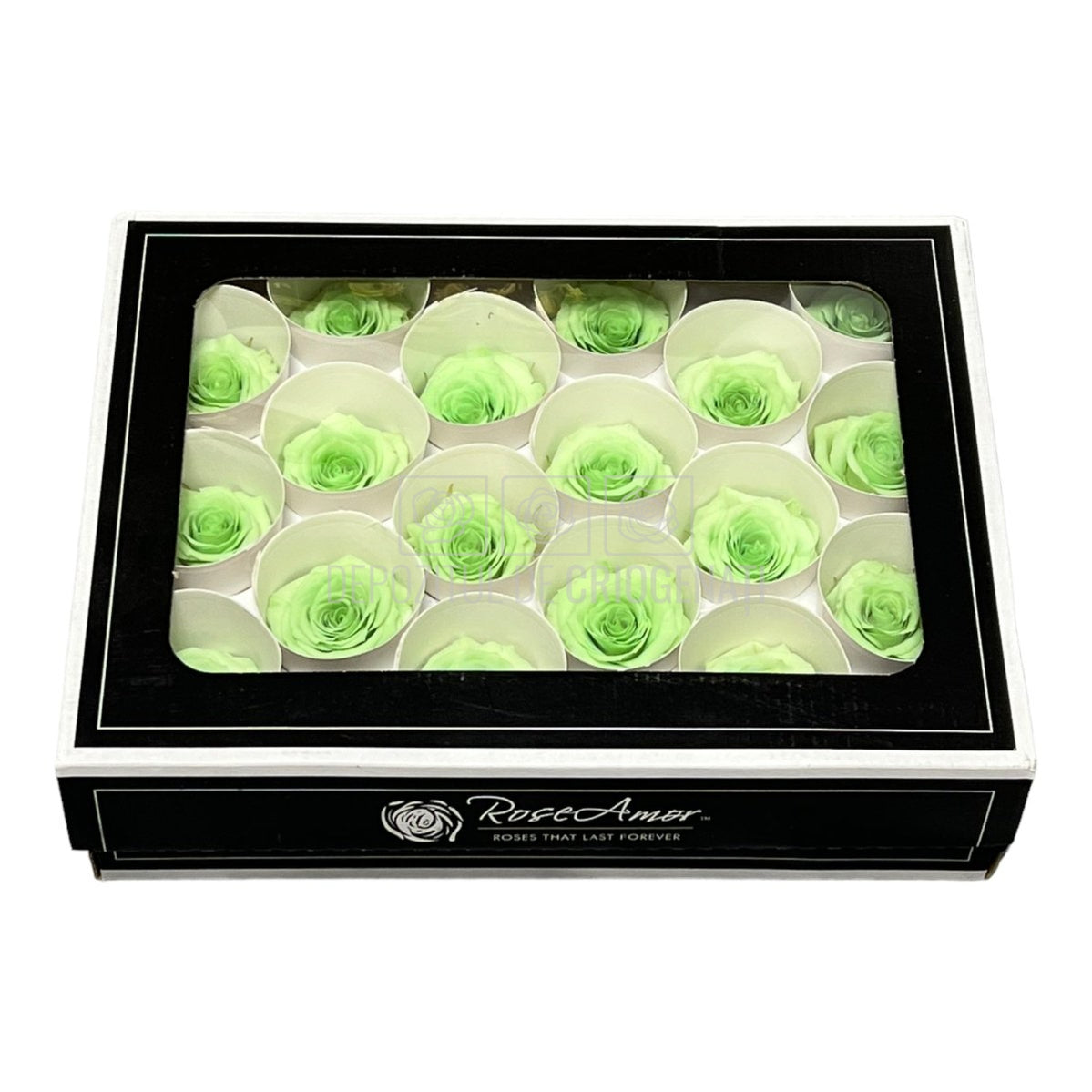 Trandafiri Criogenati XS GRE-04 (Ø3cm, set 18 buc /cutie) - DepozituldeCriogenati.ro