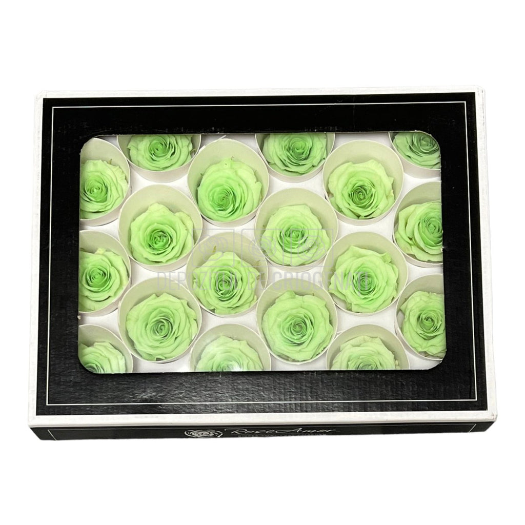 Trandafiri Criogenati XS GRE-04 (Ø3cm, set 18 buc /cutie) - DepozituldeCriogenati.ro