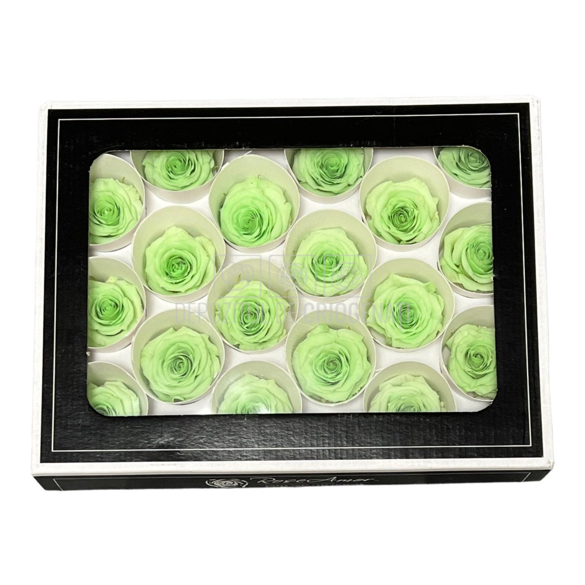 Trandafiri Criogenati XS GRE-04 (Ø3cm, set 18 buc /cutie) - DepozituldeCriogenati.ro