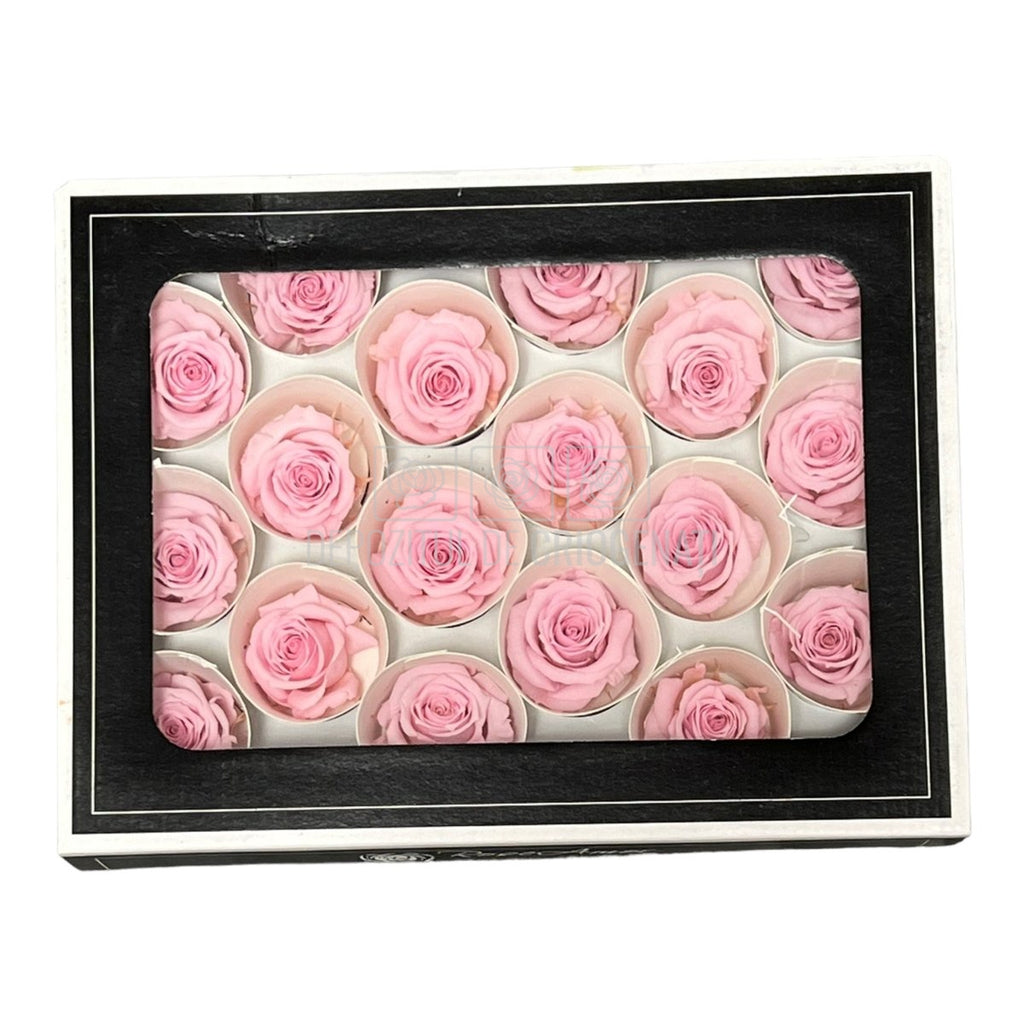 Trandafiri Criogenati XS PIN-04 (Ø3cm, set 18 buc /cutie) - DepozituldeCriogenati.ro