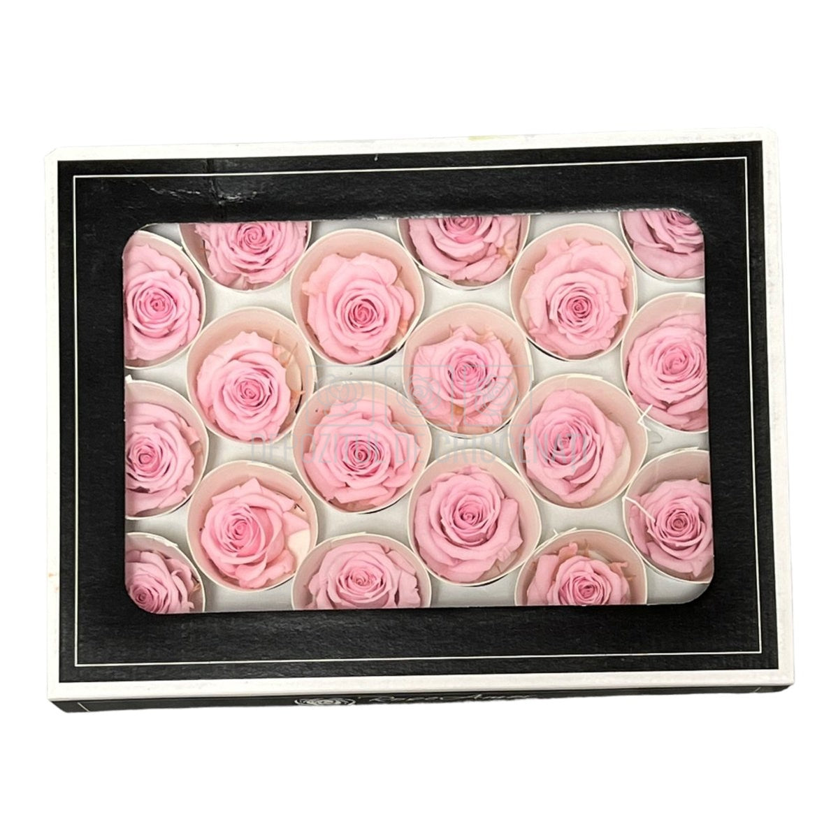 Trandafiri Criogenati XS PIN-04 (Ø3cm, set 18 buc /cutie) - DepozituldeCriogenati.ro