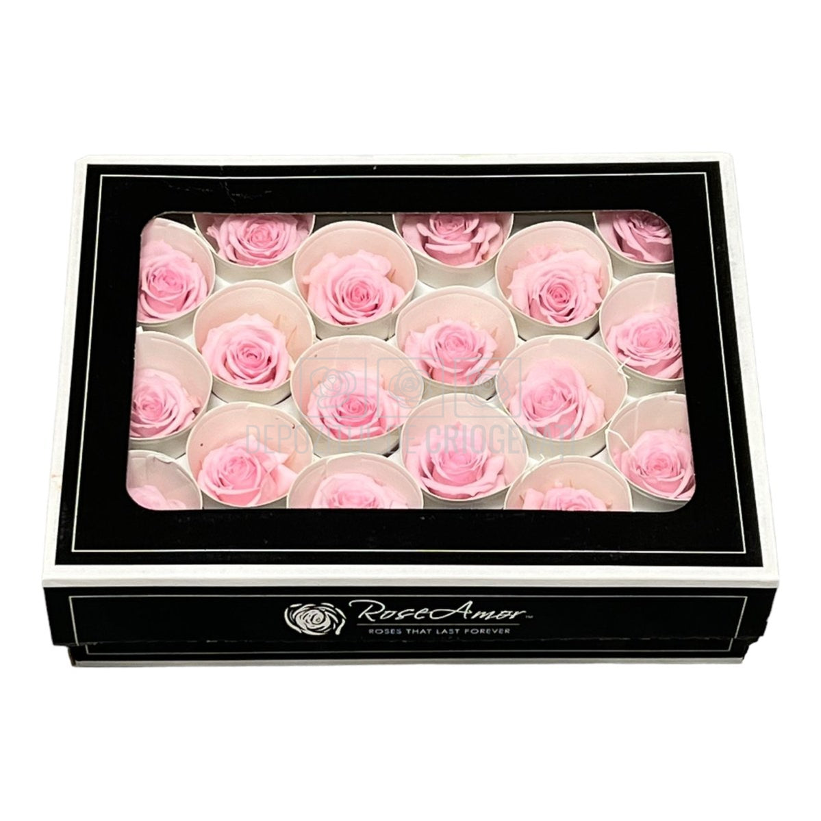 Trandafiri Criogenati XS PIN-04 (Ø3cm, set 18 buc /cutie) - DepozituldeCriogenati.ro