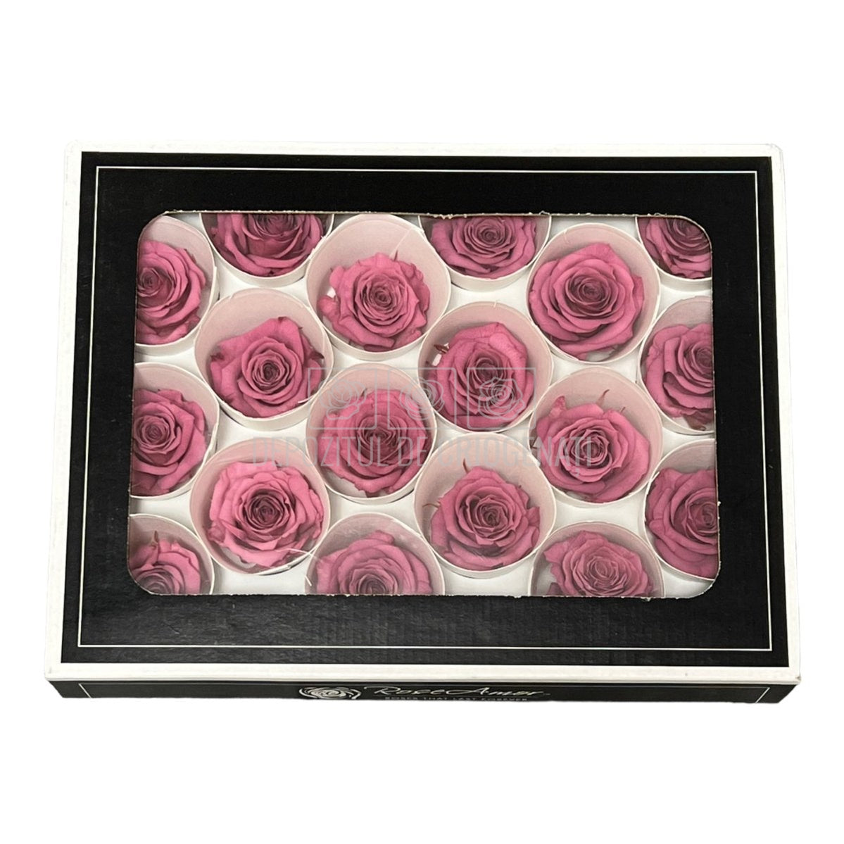 Trandafiri Criogenati XS VIO-02 (Ø3cm, set 18 buc /cutie) - DepozituldeCriogenati.ro