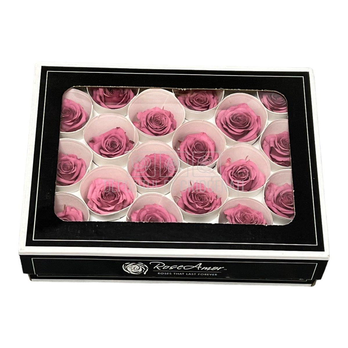 Trandafiri Criogenati XS VIO-02 (Ø3cm, set 18 buc /cutie) - DepozituldeCriogenati.ro