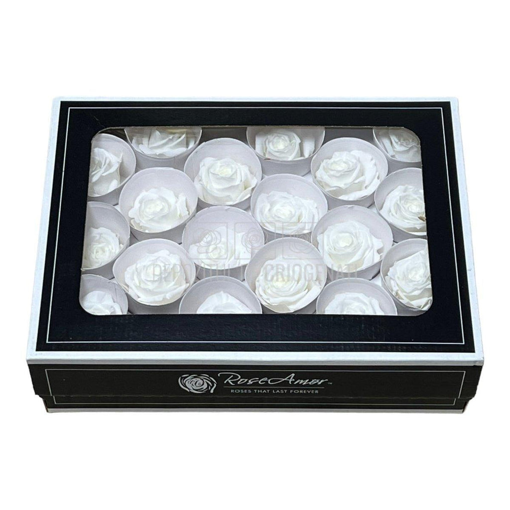 Trandafiri Criogenati XS WHI-01 (Ø3cm, set 18 buc /cutie) - DepozituldeCriogenati.ro