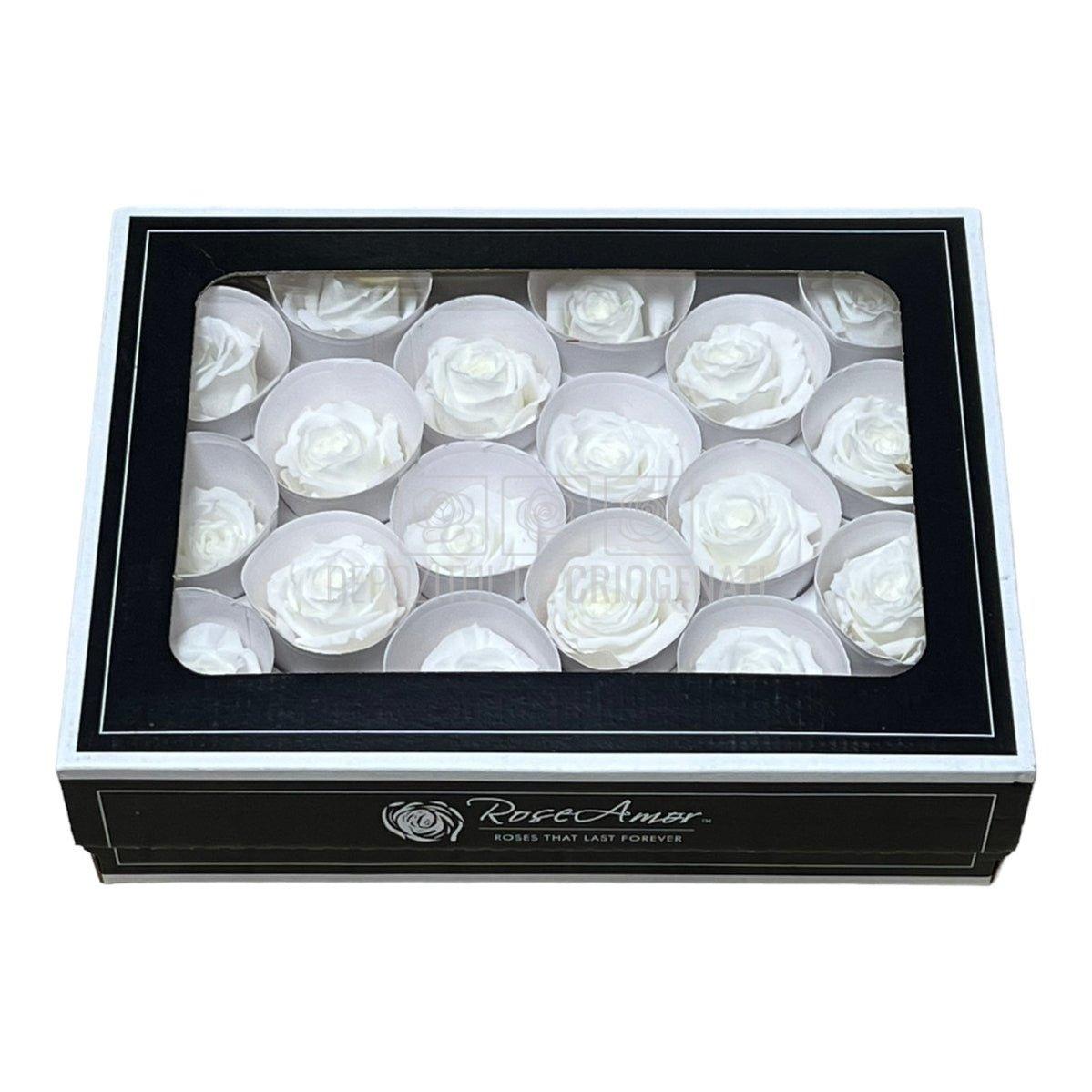 Trandafiri Criogenati XS WHI-01 (Ø3cm, set 18 buc /cutie) - DepozituldeCriogenati.ro