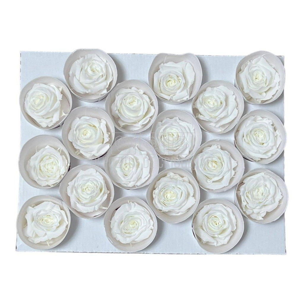Trandafiri Criogenati XS WHI-01 (Ø3cm, set 18 buc /cutie) - DepozituldeCriogenati.ro