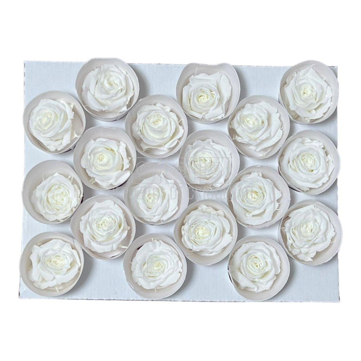 Trandafiri Criogenati XS WHI-01 (Ø3cm, set 18 buc /cutie) - DepozituldeCriogenati.ro