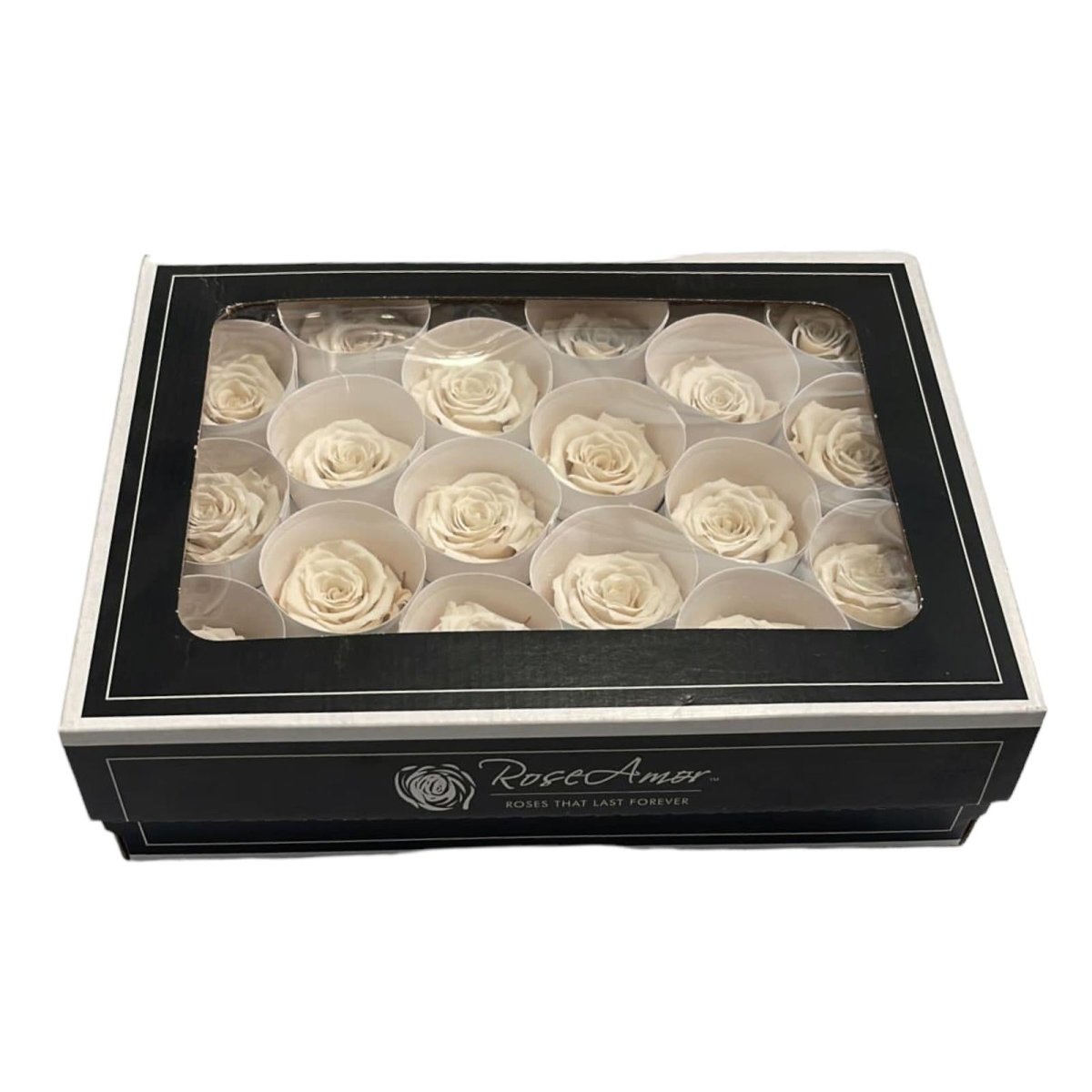 Trandafiri Criogenati XS WHI-04 (Ø3cm, set 18 buc /cutie) - DepozituldeCriogenati.ro