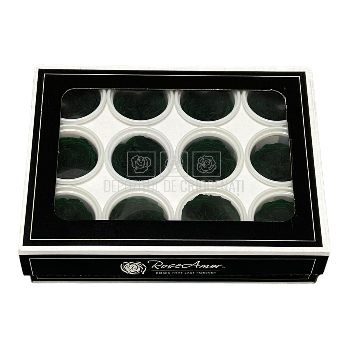 Trandafiri de gradina AMELIA GRE-02 (Ø3-4cm, set 12 buc /cutie) - DepozituldeCriogenati.ro