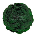 Trandafiri de gradina AMELIA GRE-02 (Ø3-4cm, set 12 buc /cutie) - DepozituldeCriogenati.ro